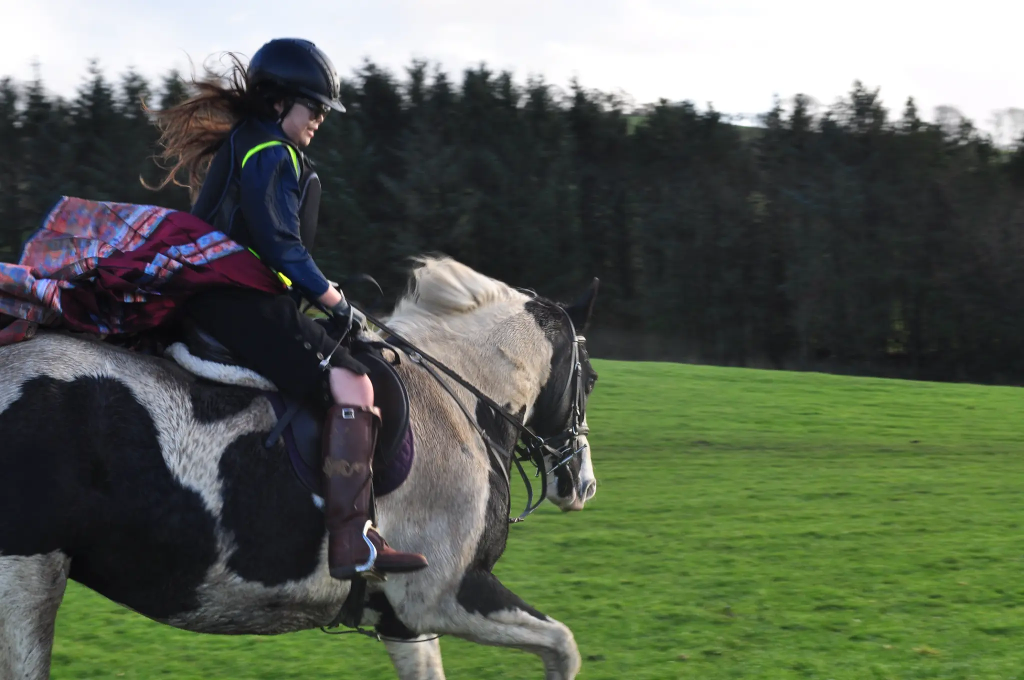 马背与起伏草地，是庄园最经典的画面之一。