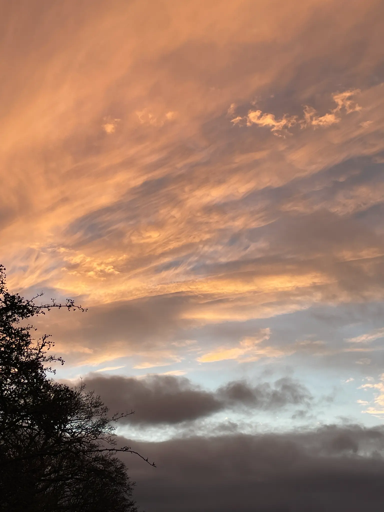 不同姿态的连续训练，更适合系统练枪。